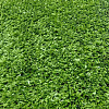 Искусственная трава Artificial Grass BM370-9мм; 4 м купить в СОМ
