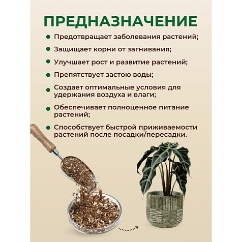 Грунт Terramis для Алоказии 2л органический купить в СОМ