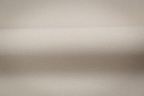Обои виниловые на флизелиновой основе 72460-22TC PALITRA TREND Nature, 1.06 х 10 м . купить в СОМ