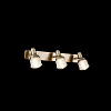 Спот Freya FR7003WL-03BZ E14 40Вт IP 20 купить в СОМ