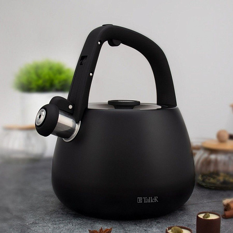 Чайник TalleR Reynard 2,2л со свистком купить в СОМ